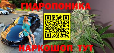 гашик Краснознаменск
