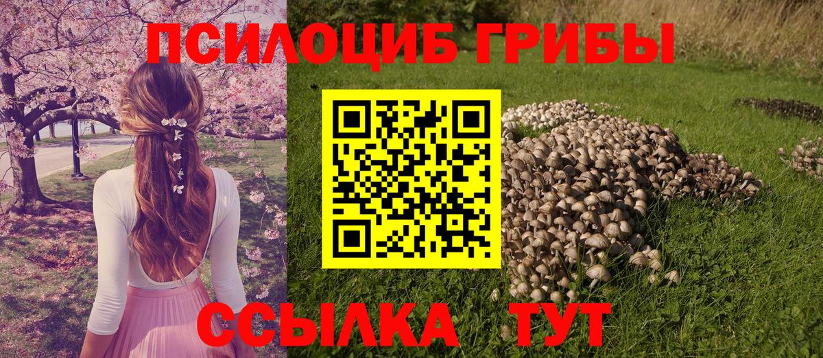 Галлюциногенные грибы Cubensis Ишим