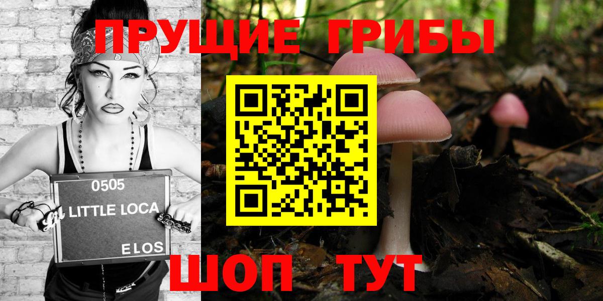 дарнет шоп  Вход с VPN  Ишим  Галлюциногенные грибы GOLDEN TEACHER 